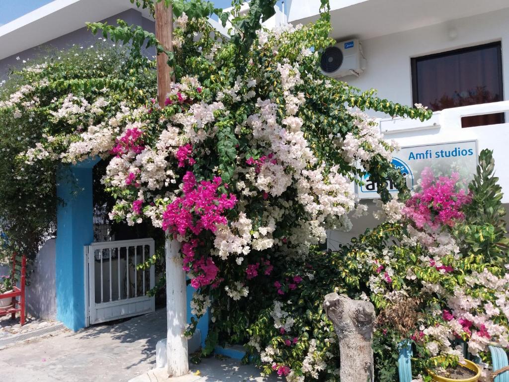 Amfi Apartments