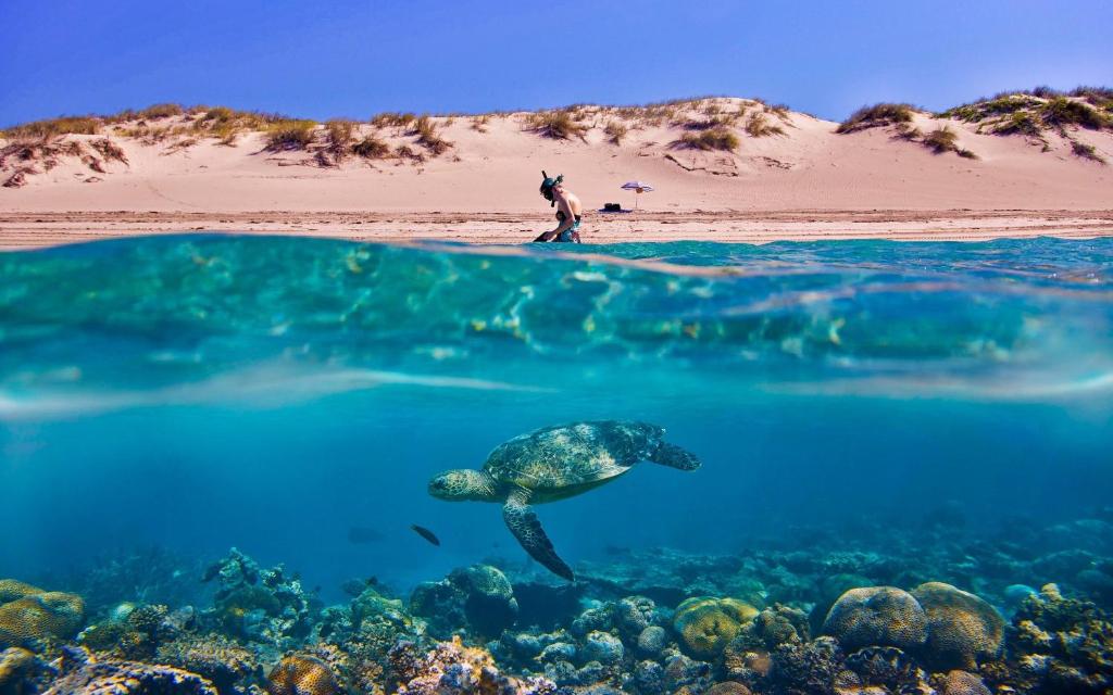 Tortuga Dafni Bay Villas Diver's Paradise by "elite"