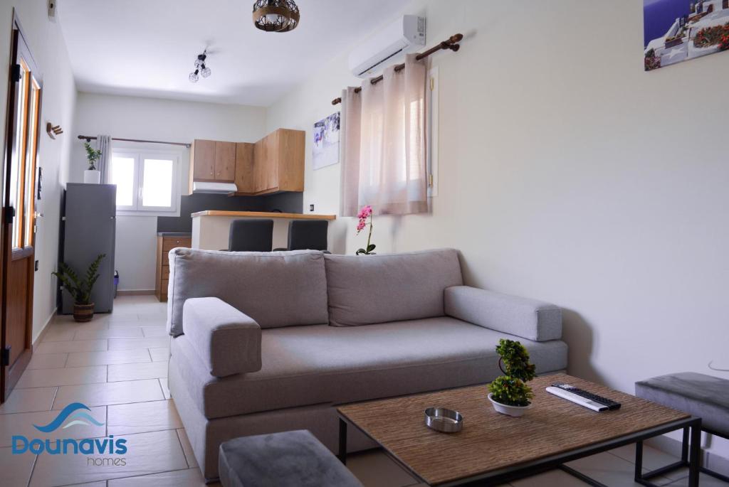 Dounavis Homes: The Hidden Olive