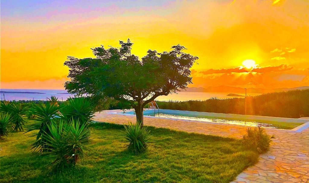 Paros Afrodite Luxury Villas