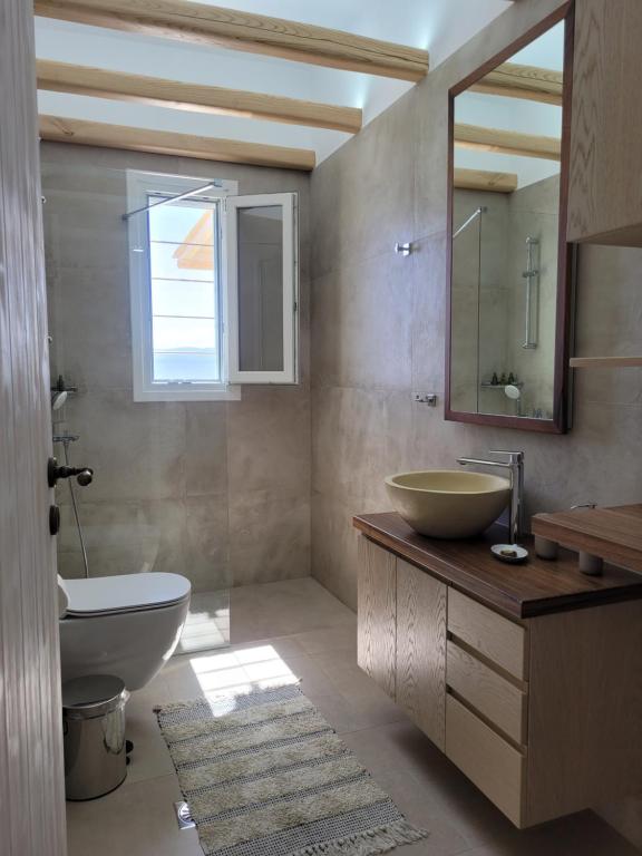 Polivios suites
