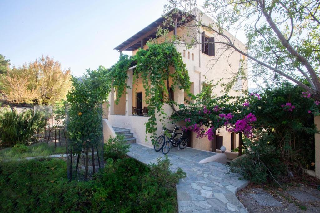 SINI Apartments 3A