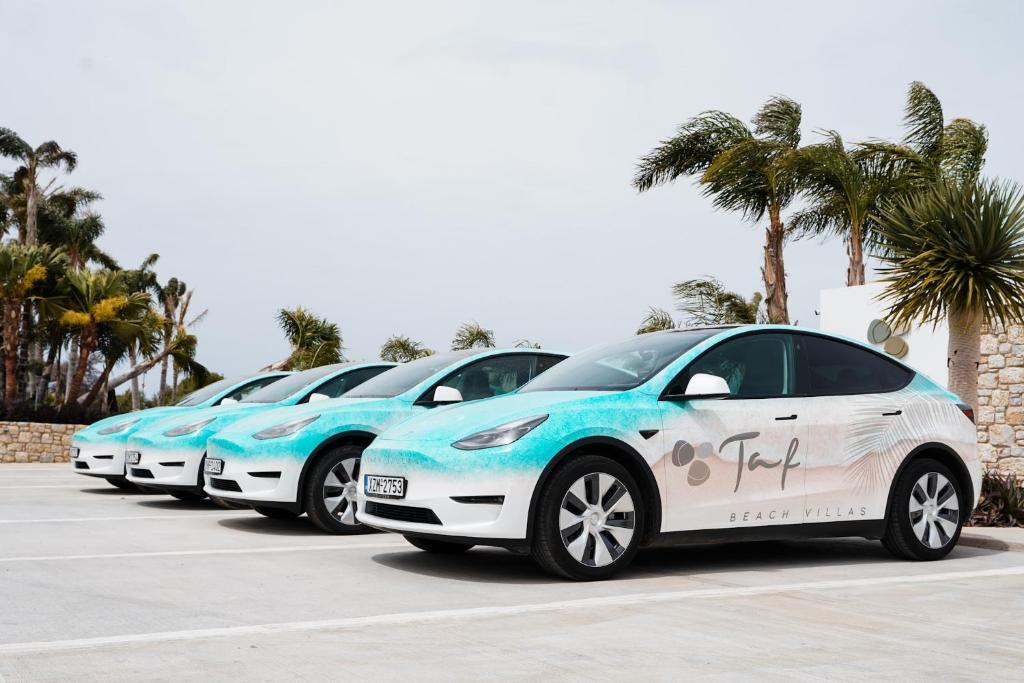 TAF Beach Villas with Tesla